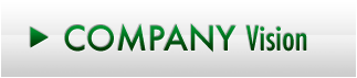 Company Vision